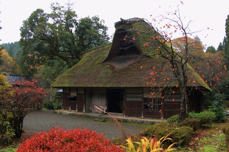 千古の家(坪川家住宅)