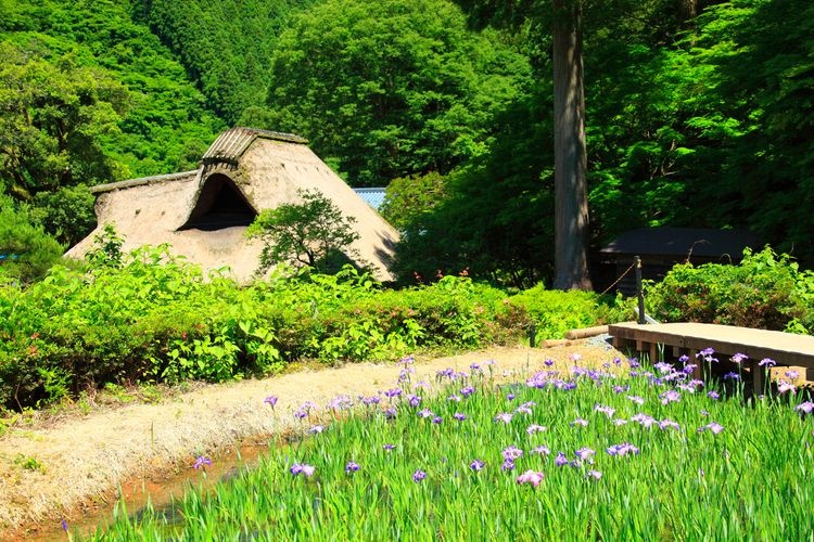 千古の家(坪川家住宅) 2