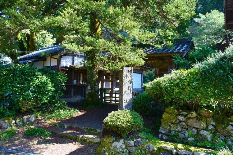 千古の家(坪川家住宅) 3