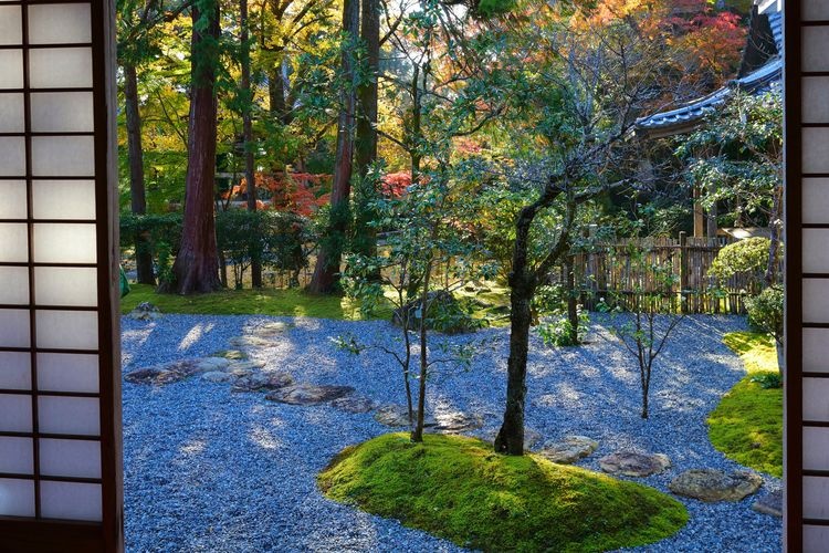 Chikurin-ji