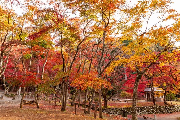雞足寺(己高閣・世代閣) 3