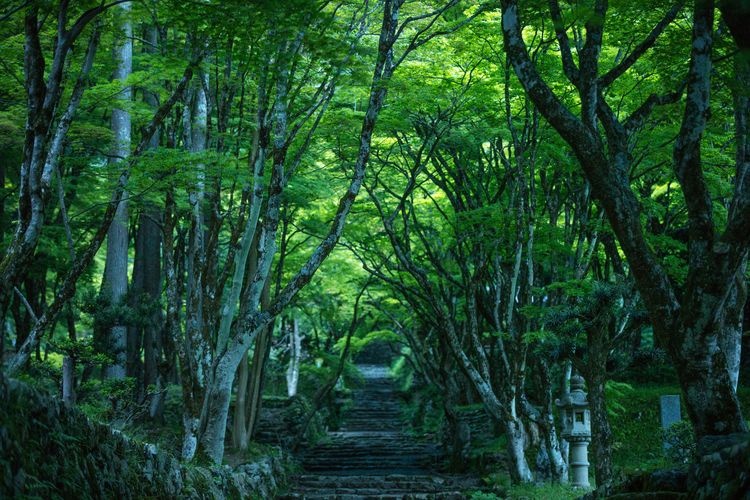 雞足寺(己高閣・世代閣) 4