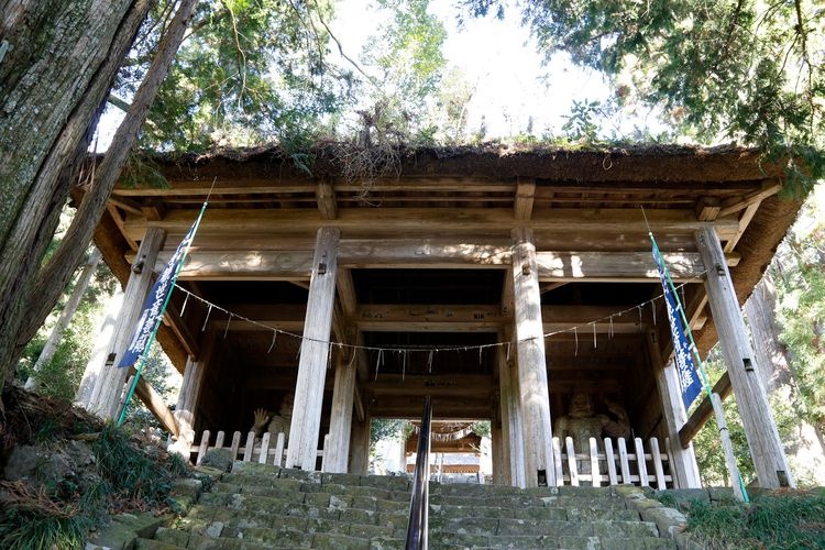 智满寺 2