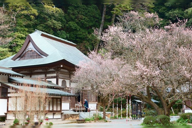 镇国寺