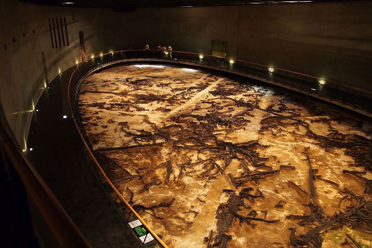 Museo Chiteinomori