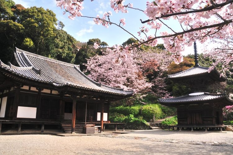Chohoji Temple 3