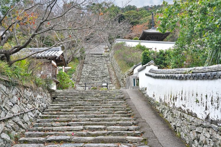 Chohoji Temple 4