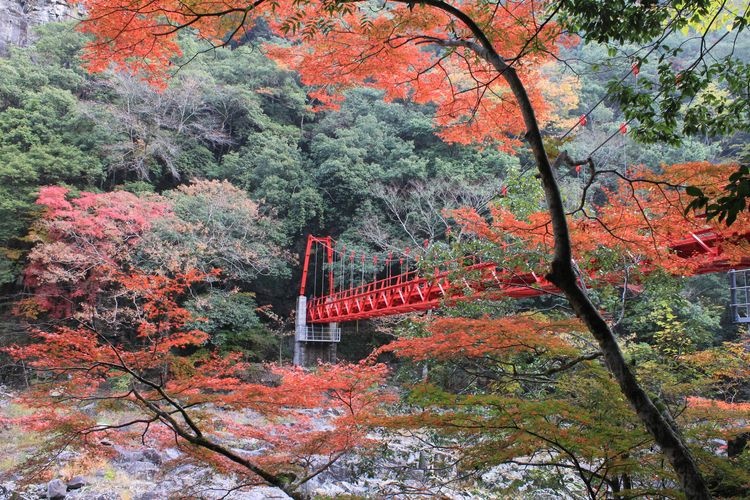Chomonkyo Gorge 3
