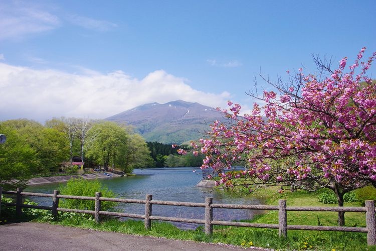 Lago Choro 2