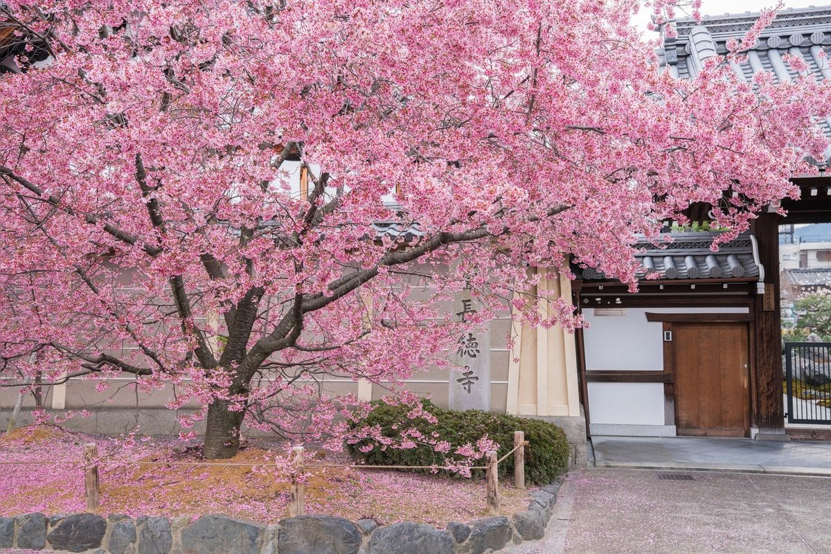 Chotoku-ji