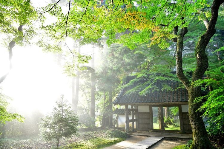 Chuson-ji