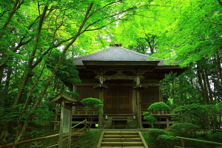 Chuson-ji 2