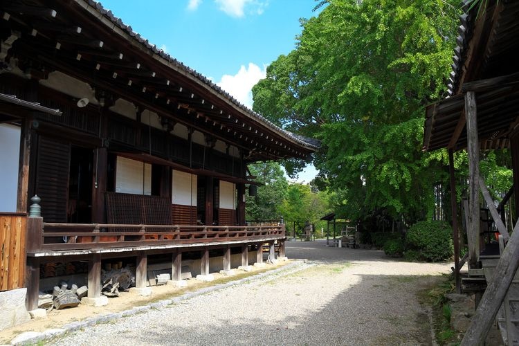 Daian-ji 3