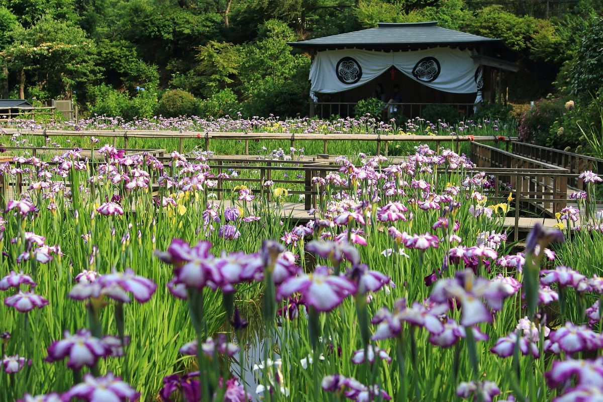 Daianzenji