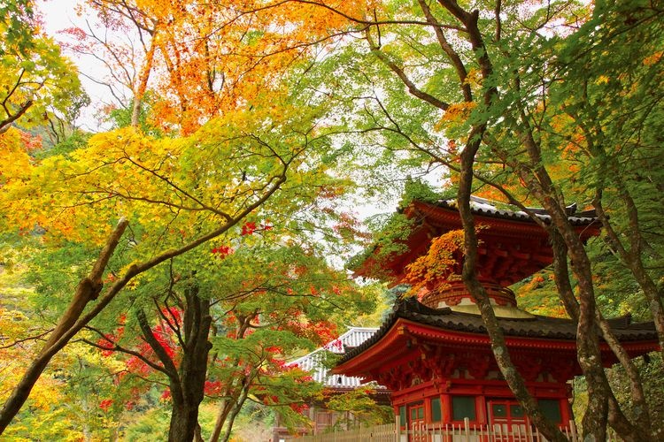 Daiitoku-ji 2