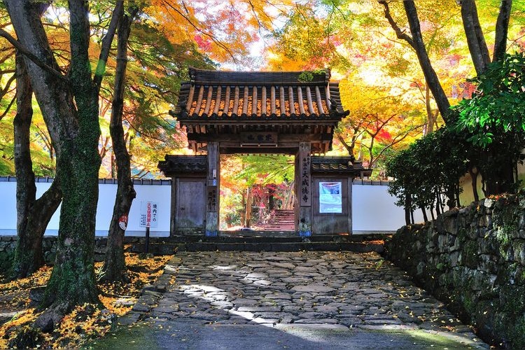 Daivitokuji Tempel 6