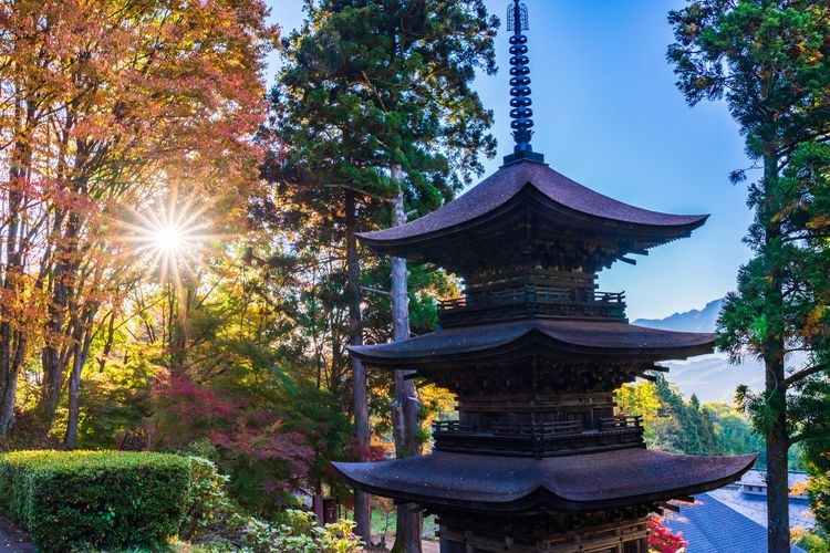 大法人寺 (Daihō-ji) 2