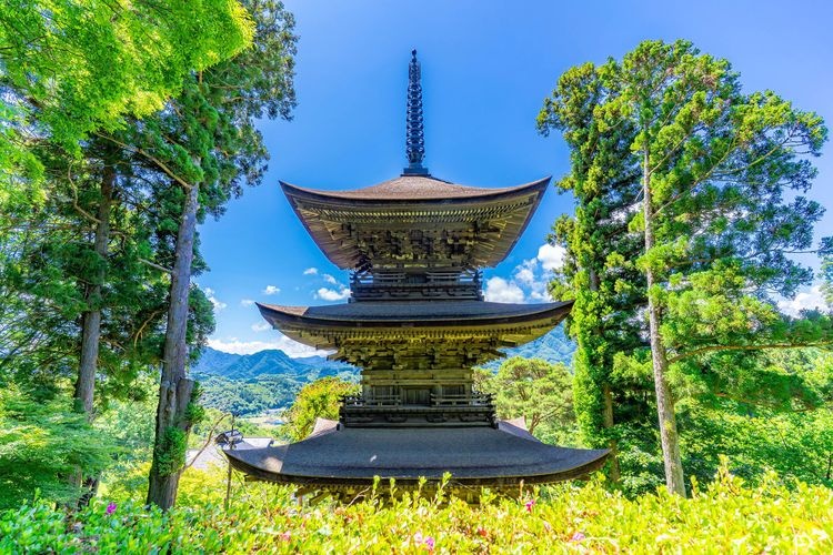 大法人寺 (Daihō-ji) 3