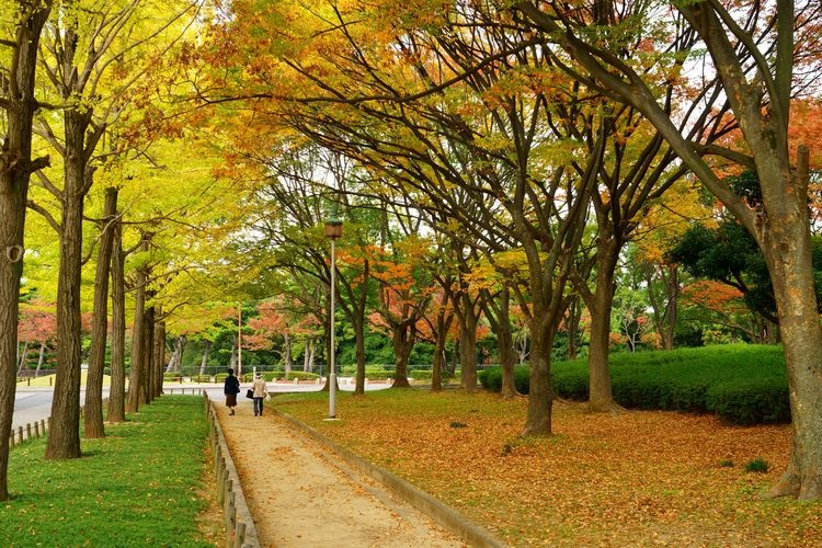大仙公園 2