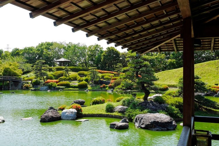 大仙公園 3
