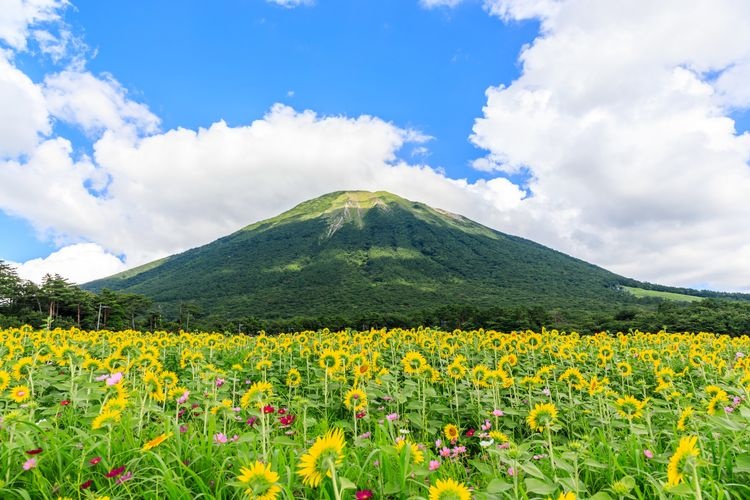 Daisen Makiba Milk no Sato