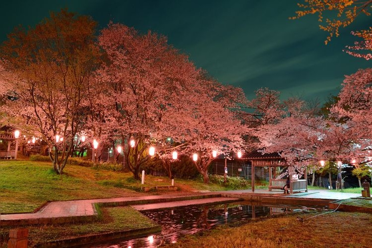Oyama Ryokuchi Park