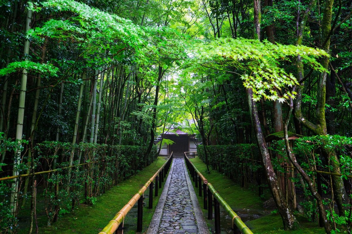 วัดโคโตคินอิน (Kotoin Temple)