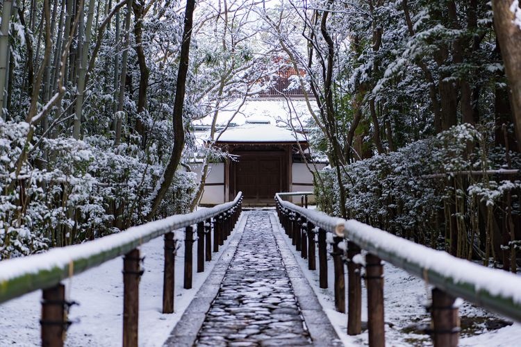 Daitoku-ji Koto-in 3
