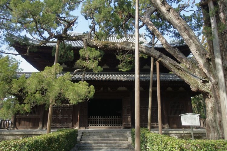 다이토쿠지 (Daitoku-ji) 3