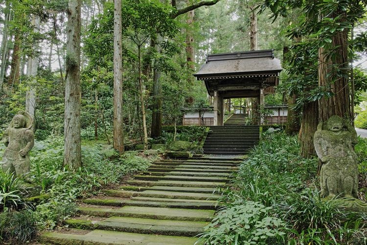 Daiou-ji Tempel 6