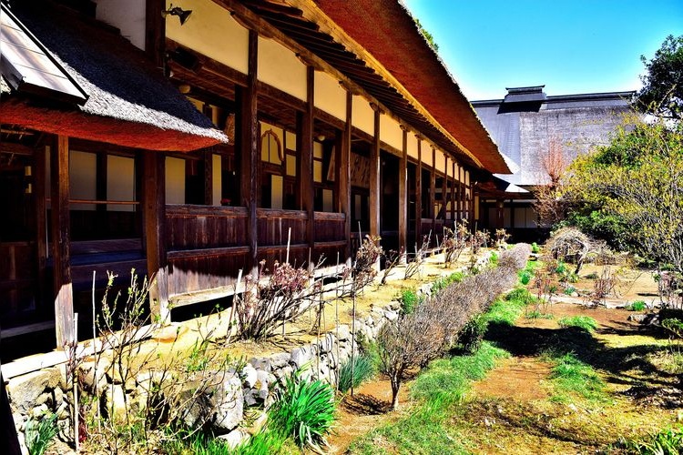 Daiou-ji Tempel 8