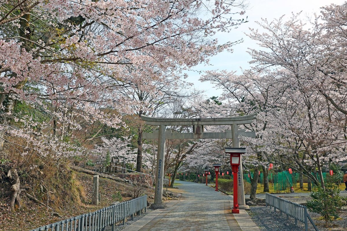 Tainei-ji