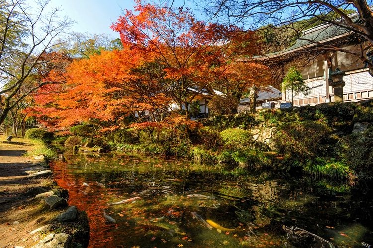 Tainei-ji 2
