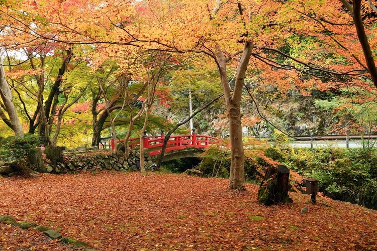 Tainei-ji 3