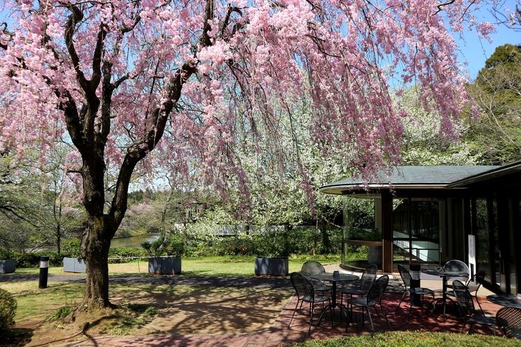DIC Kawamura Memorial Museum of Art 2
