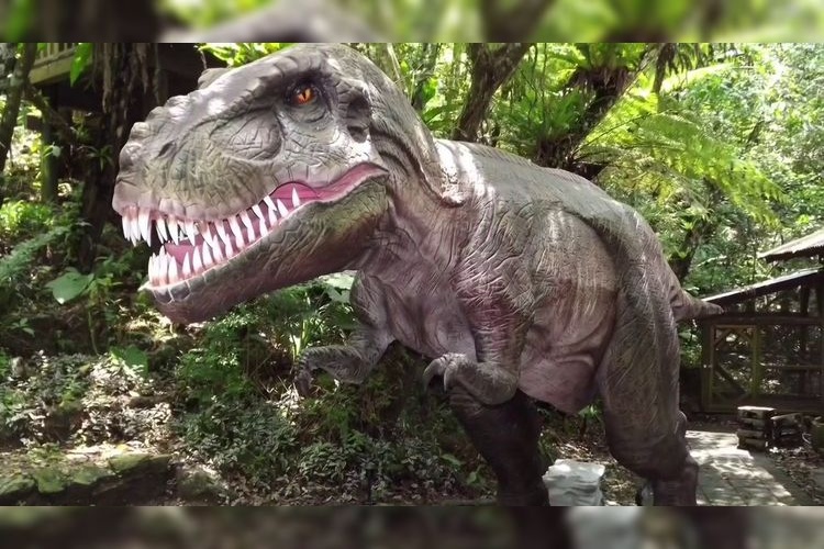 DINO Dinosaur PARK Yanbaru Subtropical Forest