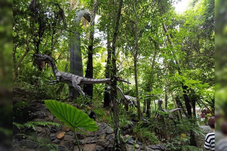 DINO恐竜PARK やんばる亞熱帶森林公園 3