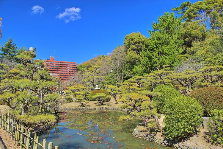 Dogo Park (Yuzuki Castle Ruins)