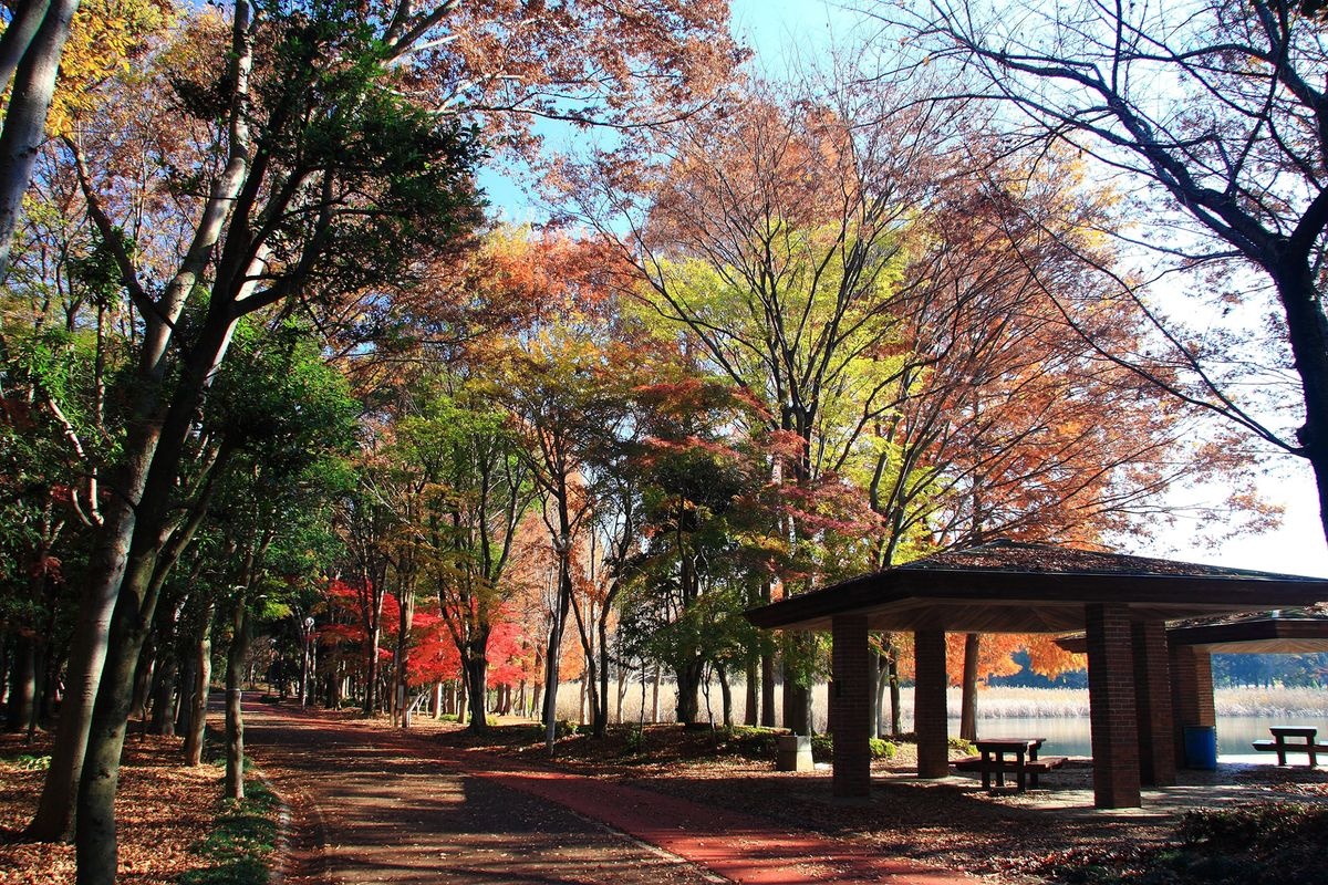 洞峰公园