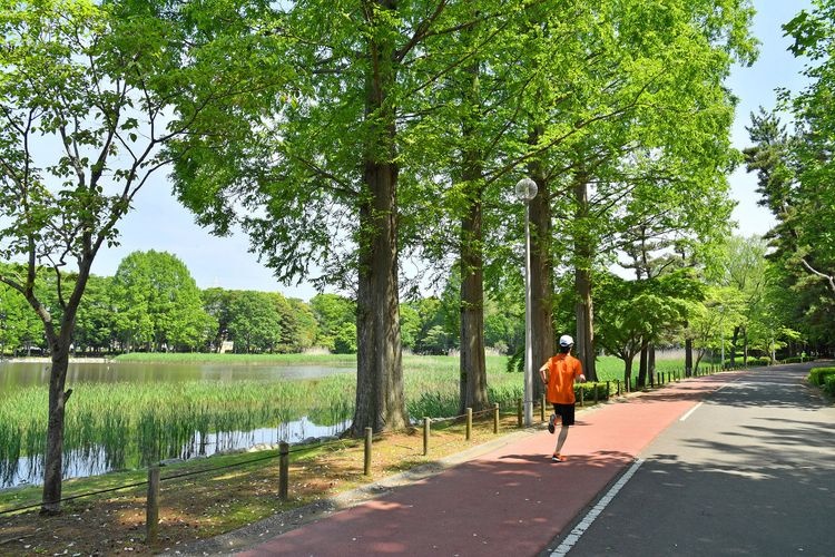洞峰公园 3