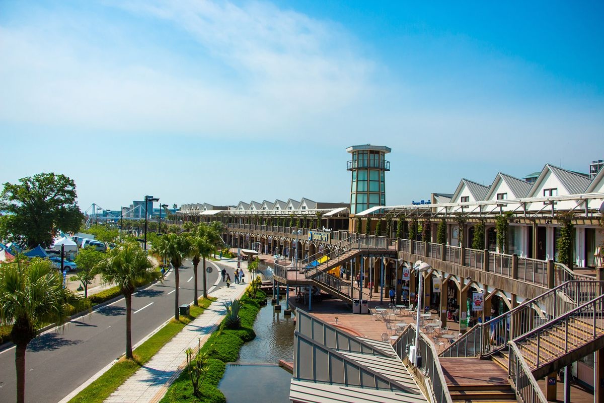 Dolphin Port
