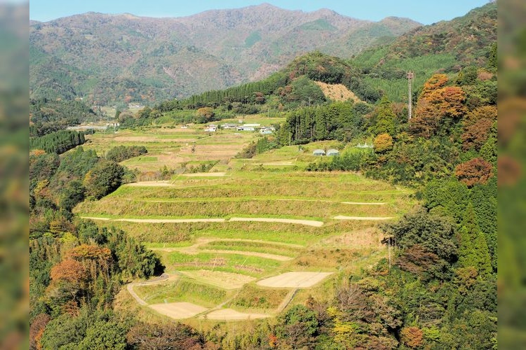 伊戶之口梯田