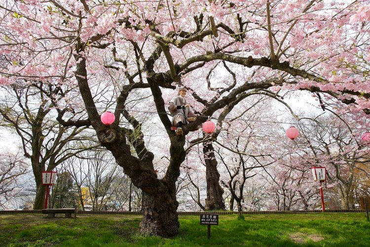 Parc Eboshiyama