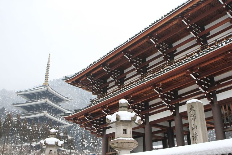 越前大仏(清大寺) 4