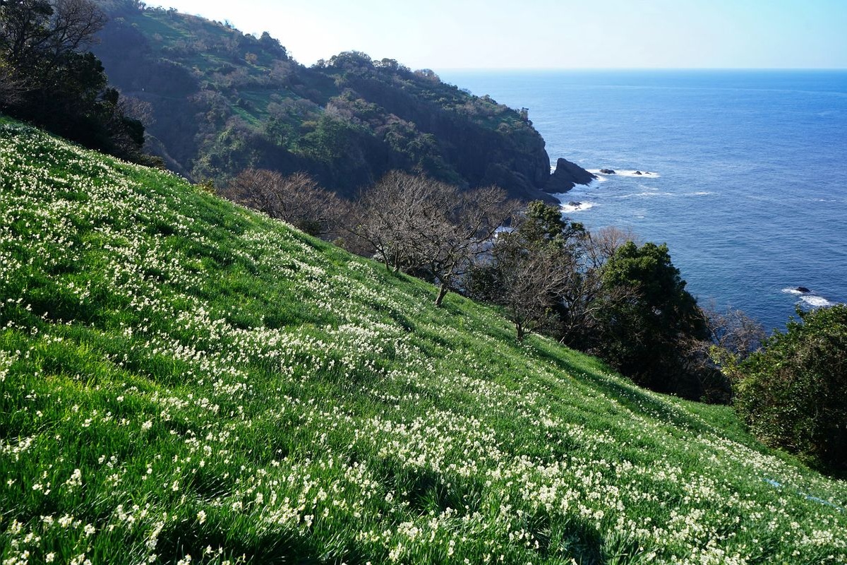 Cape Echizen