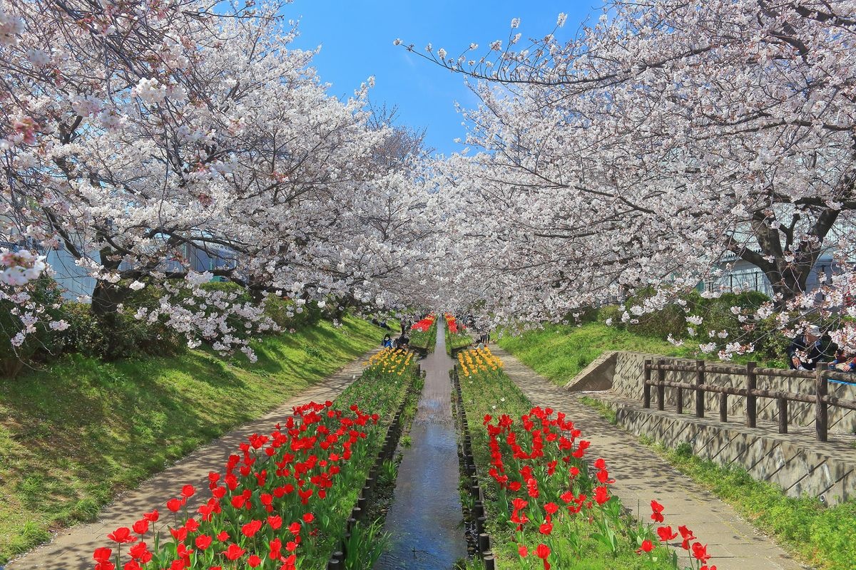Egawa Seseragi Green Way