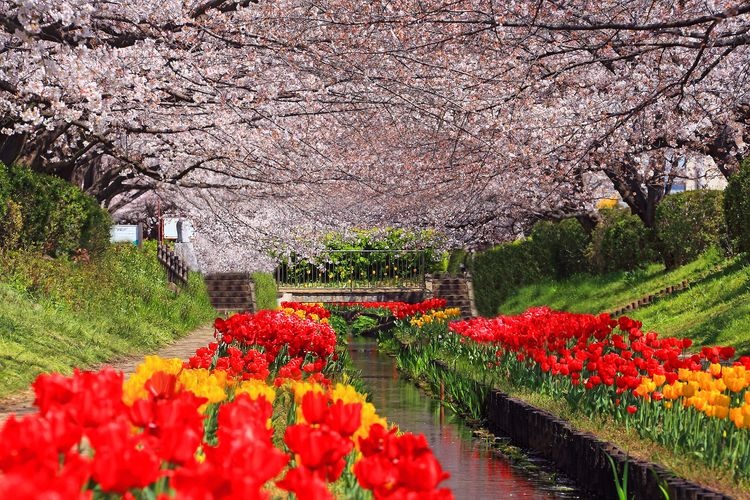 Egawa Seseragi Green Way