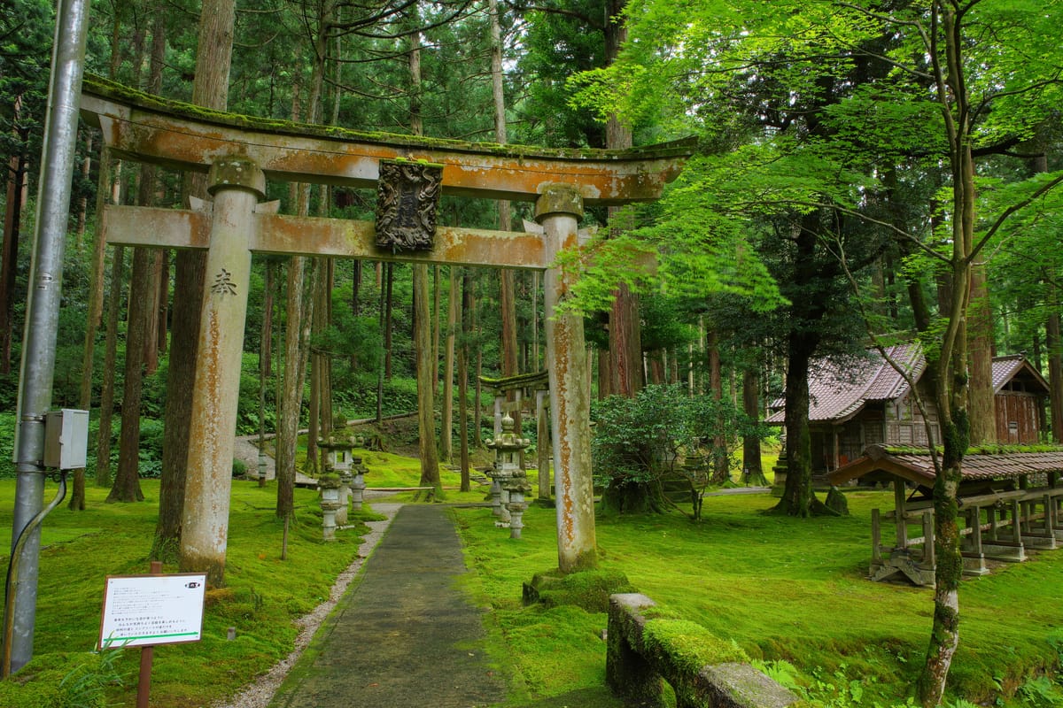 叡智の杜（苔の里）
