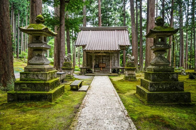 叡智の杜(苔の里)