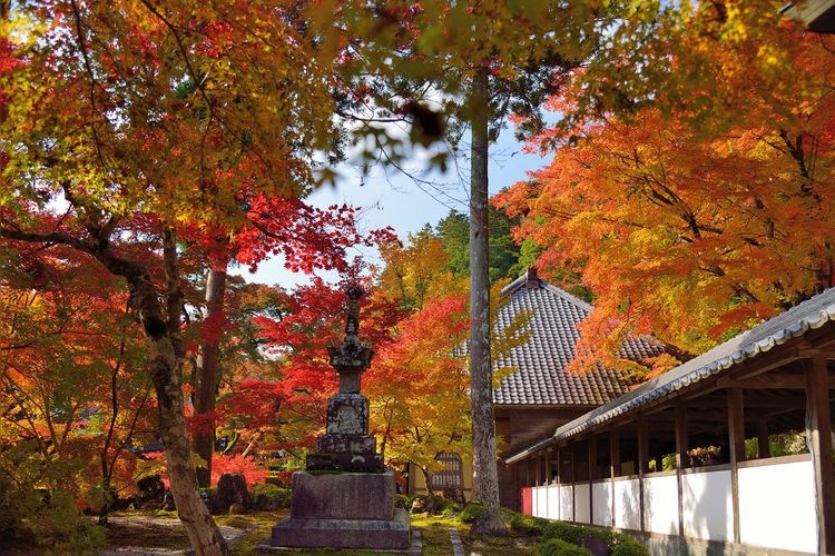 永源寺 2